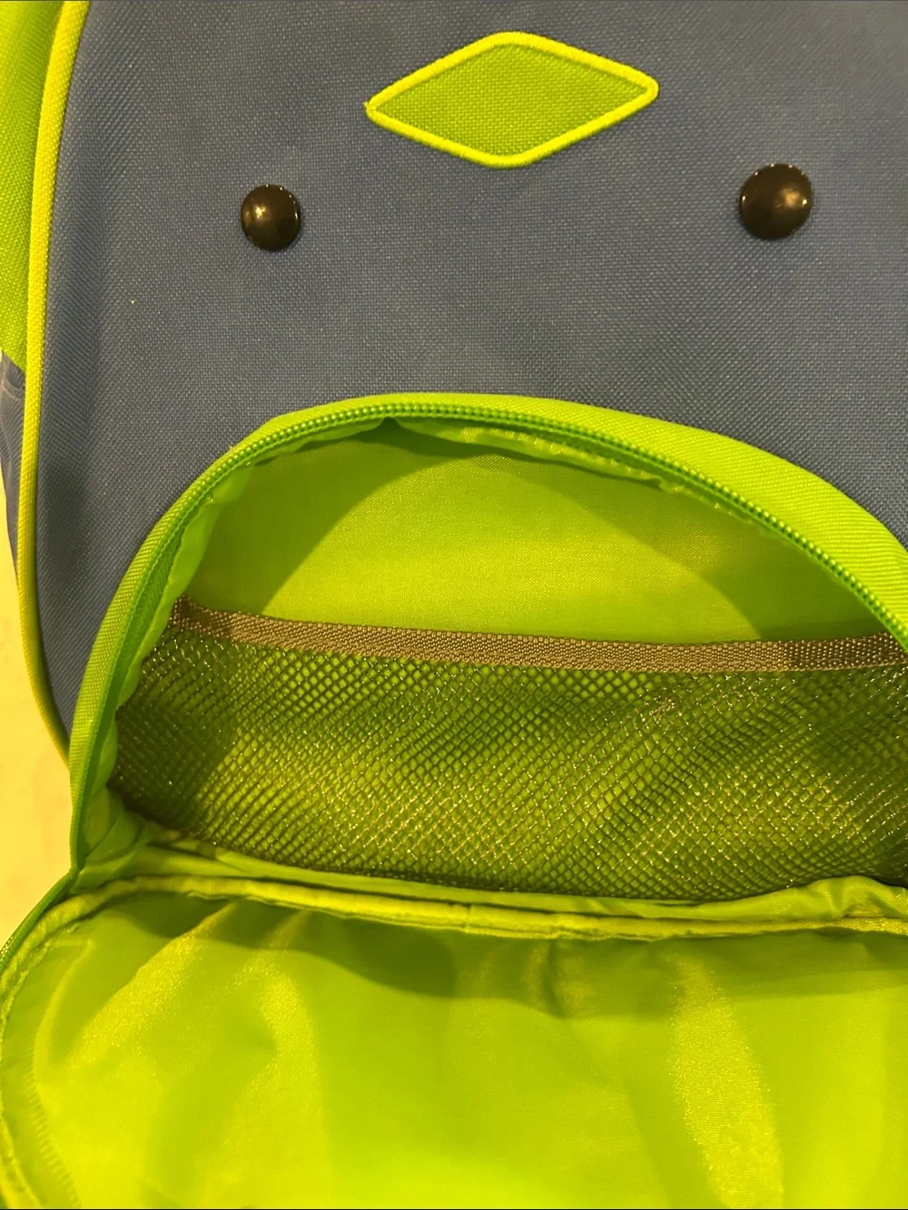 Skip Hop Blue and Green Dinosaur Kids Backpack
